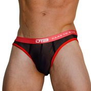 DTB Brief