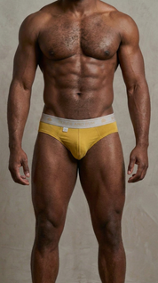 Nomad Men's Brief